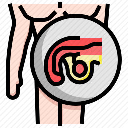 <em>生殖系统</em>