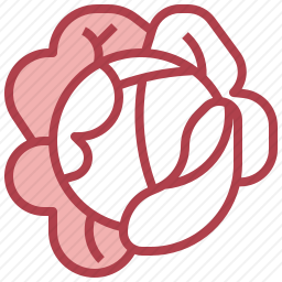 <em>白菜</em>