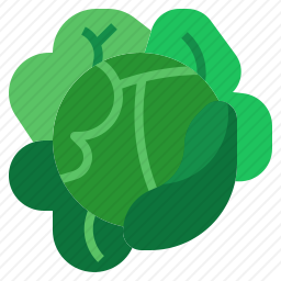 <em>白菜</em>