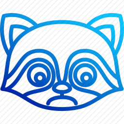 <em>浣熊</em>