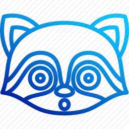 浣熊