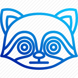 <em>浣熊</em>