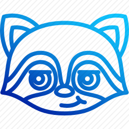 <em>浣熊</em>