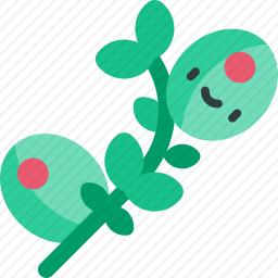 橄榄