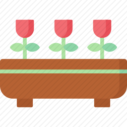 花盆