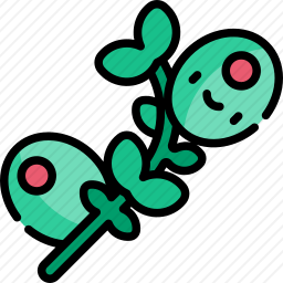 橄榄