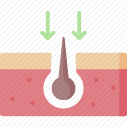 毛发<em>移植</em>
