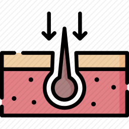 毛发<em>移植</em>