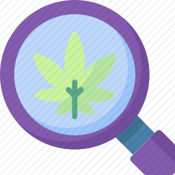 大麻
