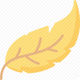 羽毛