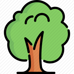 <em>树</em>