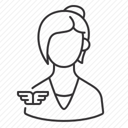 <em>飞行员</em>