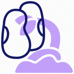豆