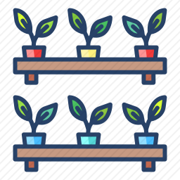 植物