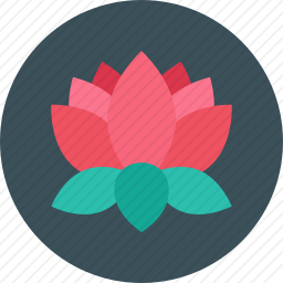<em>莲花</em>