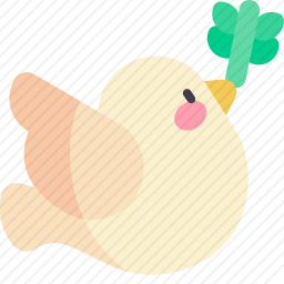 鸽子