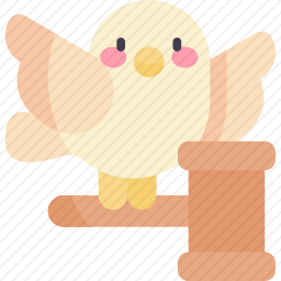 鸽子