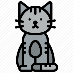 猫