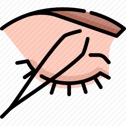 拔<em>眉毛</em>