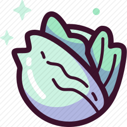 <em>白菜</em>
