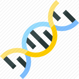 DNA