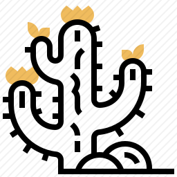 仙人掌