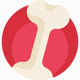 <em>骨头</em>