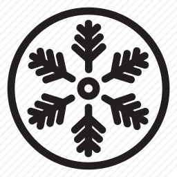 <em>雪花</em>