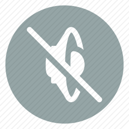 <em>静音</em>