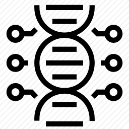 DNA