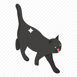 猫