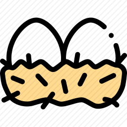 鸡蛋