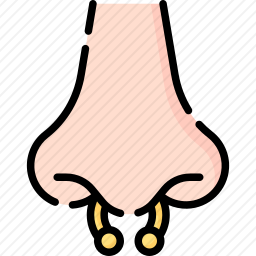 鼻环