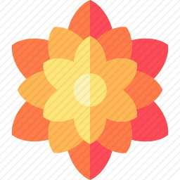 <em>菊花</em>