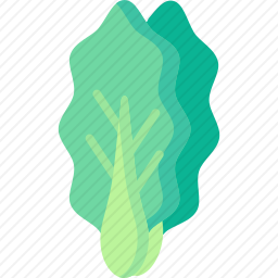 <em>白菜</em>