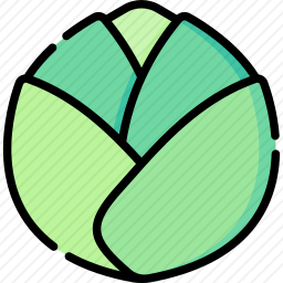 <em>白菜</em>