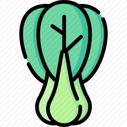 <em>白菜</em>