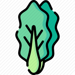 <em>白菜</em>