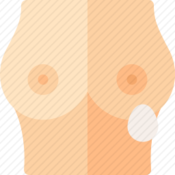 乳房