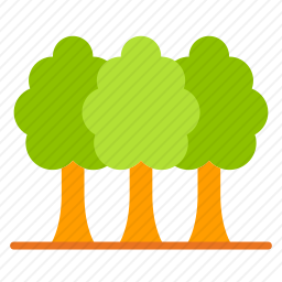 <em>森林</em>
