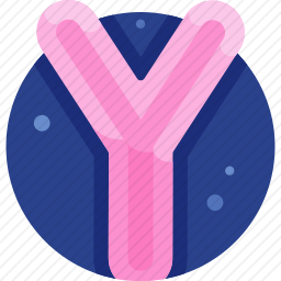 Y