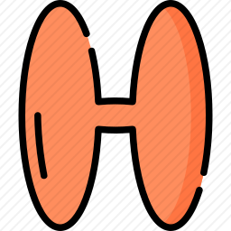 H