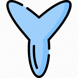 Y