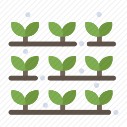 <em>农作物</em>