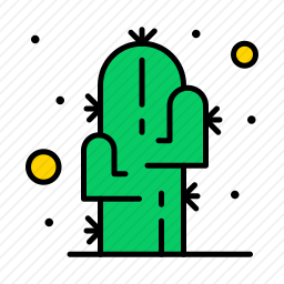 仙人掌