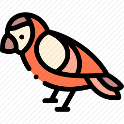 <em>猫头鹰</em>