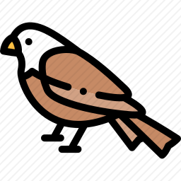<em>鹰</em>