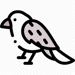 鸟