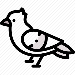 <em>鸽子</em>
