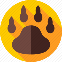 <em>熊</em>